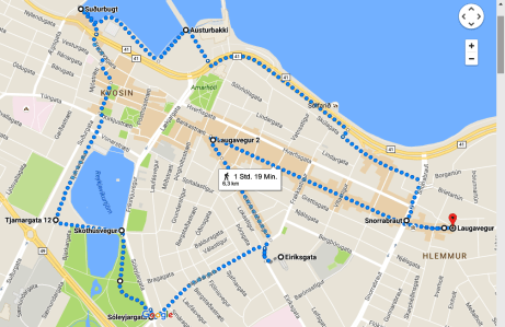 Reykjavik 6,3 km Stadtlauf