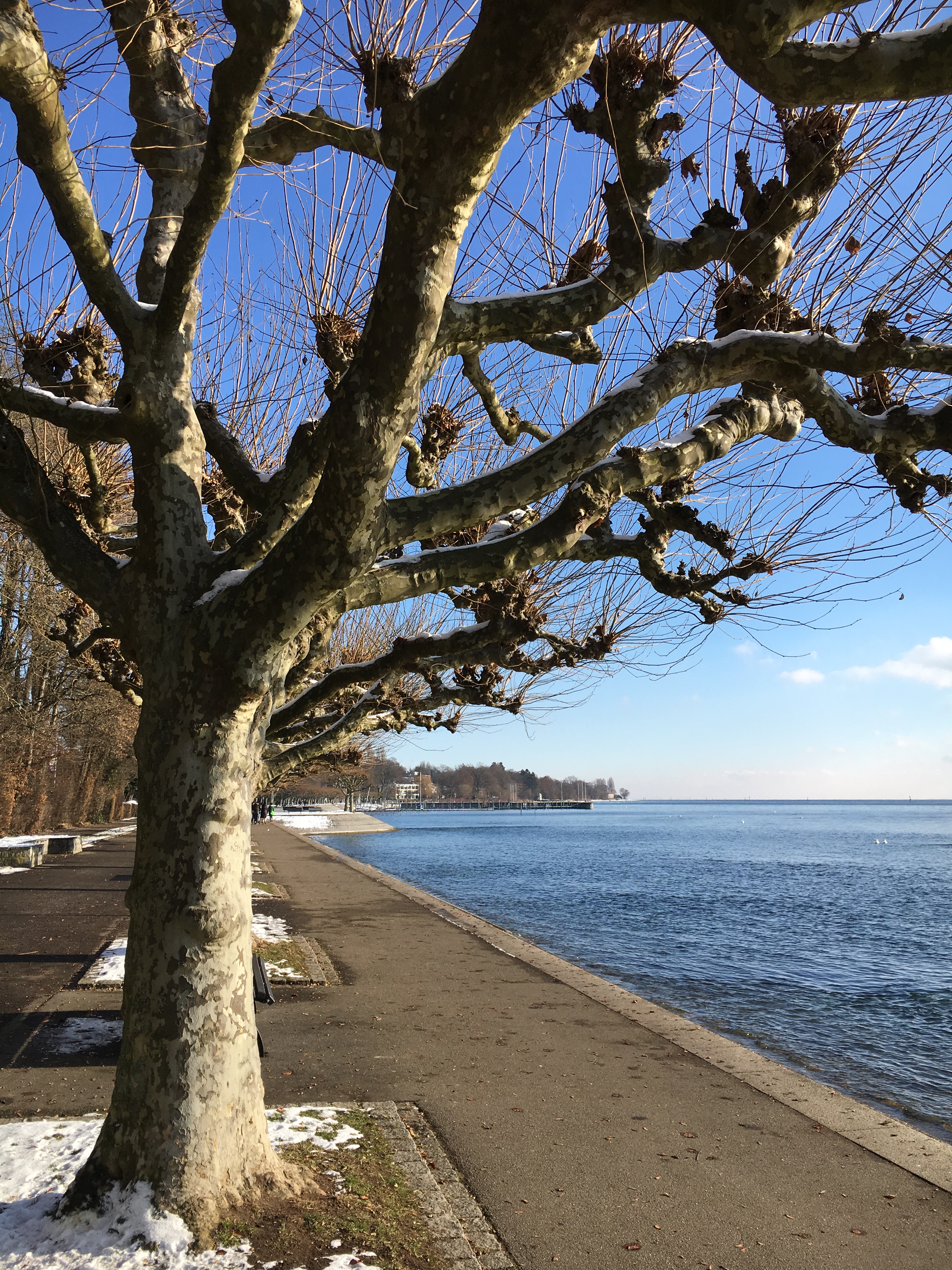 Foto 06.01.17, 12 21 27