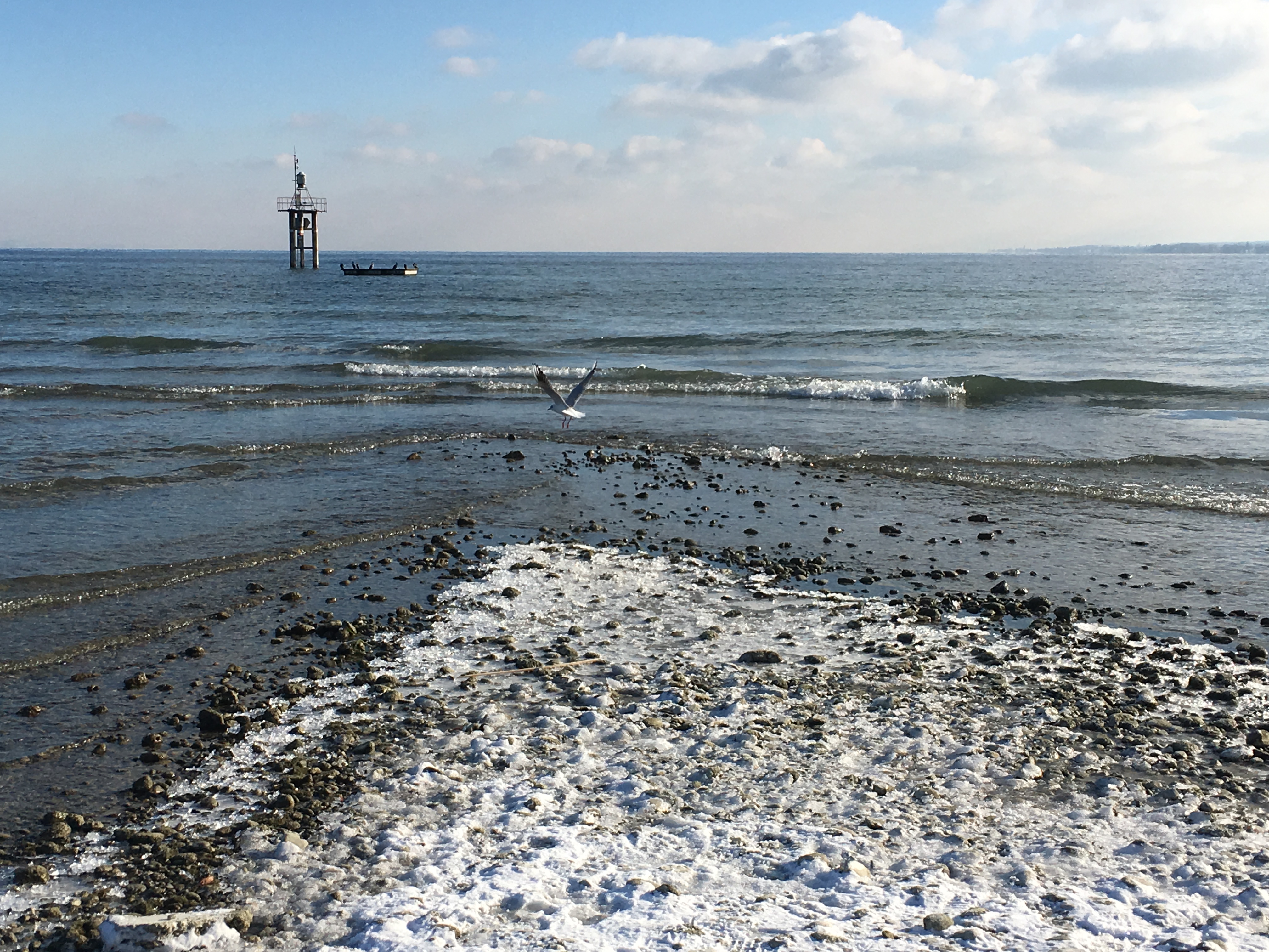 Foto 06.01.17, 13 11 40