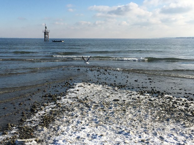 Foto 06.01.17, 13 11 40